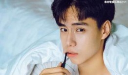 网友爆料胡一天手帐视频,揭秘明星日常生活的独特魅力