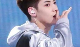 关于任豪的爆料视频大全,揭秘明星背后的真实故事